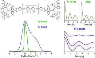 Graphical abstract: Pulsed EPR dipolar spectroscopy at Q- and G-band on a trityl biradical