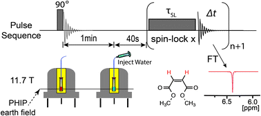Graphical abstract: Singlet lifetime measurements in an all-proton chemically equivalent spin system by hyperpolarization and weak spin lock transfers