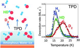 Graphical abstract: Physisorption and desorption of H2, HD and D2 on amorphous solid water ice. Effect on mixing isotopologue on statistical population of adsorption sites