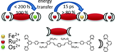 Graphical abstract: Energy transfer and formation of long-lived 3MLCT states in multimetallic complexes with extended highly conjugated bis-terpyridyl ligands