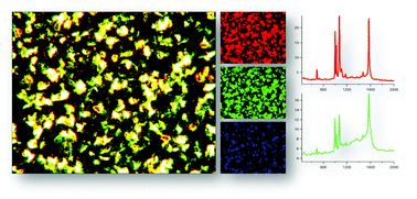 Graphical abstract: Plasmonic color analysis of Ag-coated black-Si SERS substrate