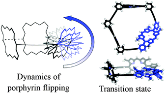Graphical abstract: How to make a porphyrin flip: dynamics of asymmetric porphyrin oligomers