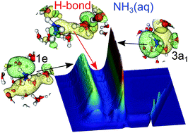 Graphical abstract: Probing hydrogen bonding orbitals: resonant inelastic soft X-ray scattering of aqueous NH3