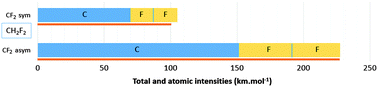 Graphical abstract: Dynamic atomic contributions to infrared intensities of fundamental bands
