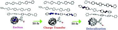 Graphical abstract: The role of structural fluctuations and environmental noise in the electron/hole separation kinetics at organic polymer bulk-heterojunction interfaces