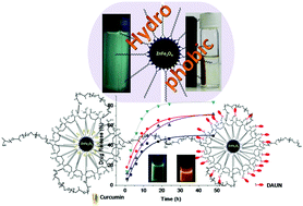 Graphical abstract: Surface modified multifunctional ZnFe2O4 nanoparticles for hydrophobic and hydrophilic anti-cancer drug molecule loading