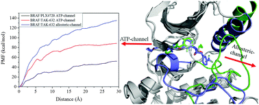 Graphical abstract: Computational study on the unbinding pathways of B-RAF inhibitors and its implication for the difference of residence time: insight from random acceleration and steered molecular dynamics simulations