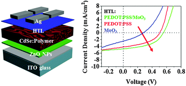 Graphical abstract: Inverted hybrid CdSe–polymer solar cells adopting PEDOT:PSS/MoO3 as dual hole transport layers
