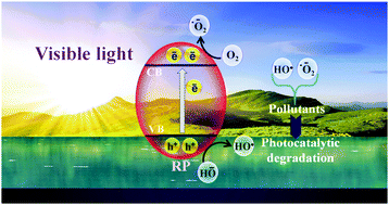 Graphical abstract: Metal free earth abundant elemental red phosphorus: a new class of visible light photocatalyst and photoelectrode materials