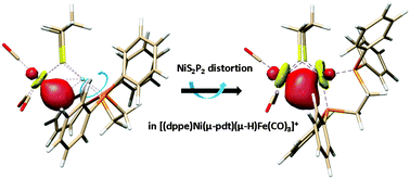 Graphical abstract: In search of metal hydrides: an X-ray absorption and emission study of [NiFe] hydrogenase model complexes