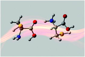 Graphical abstract: The structures and properties of proton- and alkali-bound cysteine dimers