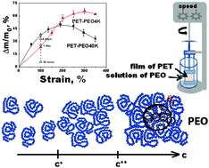 Graphical abstract: Effects of tensile strain on the peculiarities of PEO penetration into the nanoporous structure of PET deformed via the crazing mechanism