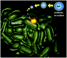 Graphical abstract: Inorganic nanoparticles engineered to attack bacteria