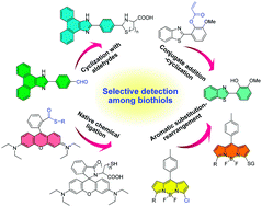 Graphical abstract: Design strategies of fluorescent probes for selective detection among biothiols