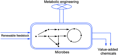 Graphical abstract: Synthesis of chemicals by metabolic engineering of microbes