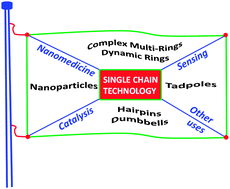 Graphical abstract: Advances in single chain technology