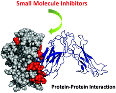 Graphical abstract: State-of-the-art strategies for targeting protein–protein interactions by small-molecule inhibitors