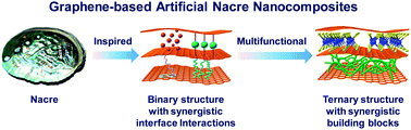 Graphical abstract: Graphene-based artificial nacre nanocomposites