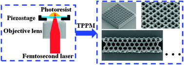 Graphical abstract: Two-photon polymerization microfabrication of hydrogels: an advanced 3D printing technology for tissue engineering and drug delivery