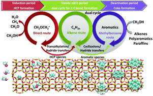 Graphical abstract: The formation and degradation of active species during methanol conversion over protonated zeotype catalysts
