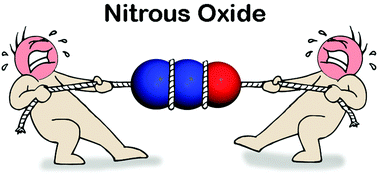 Graphical abstract: Synthetic chemistry with nitrous oxide