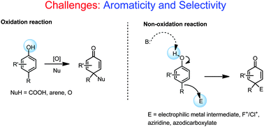 Graphical abstract: Catalytic asymmetric dearomatization (CADA) reactions of phenol and aniline derivatives