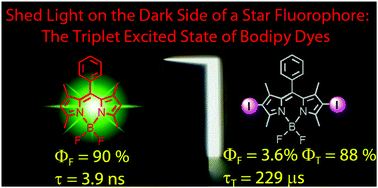 Graphical abstract: The triplet excited state of Bodipy: formation, modulation and application