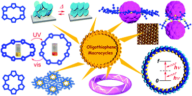 Graphical abstract: Multifunctional π-expanded oligothiophene macrocycles
