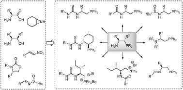 Graphical abstract: Recent developments in the synthesis and utilization of chiral β-aminophosphine derivatives as catalysts or ligands
