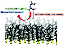 Graphical abstract: Chemical dynamics simulations of energy transfer, surface-induced dissociation, soft-landing, and reactive-landing in collisions of protonated peptide ions with organic surfaces
