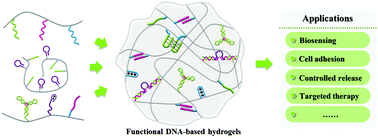 Graphical abstract: Functional nucleic acid-based hydrogels for bioanalytical and biomedical applications