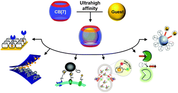 Graphical abstract: Can we beat the biotin–avidin pair?: cucurbit[7]uril-based ultrahigh affinity host–guest complexes and their applications