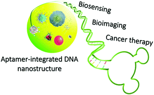 Graphical abstract: Aptamer-integrated DNA nanostructures for biosensing, bioimaging and cancer therapy