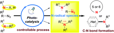 Graphical abstract: Visible light photoredox-controlled reactions of N-radicals and radical ions