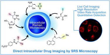 Graphical abstract: Stimulated Raman scattering microscopy: an emerging tool for drug discovery