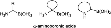 Graphical abstract: Synthesis of α-aminoboronic acids