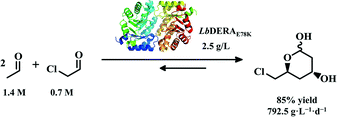 Graphical abstract: Efficient synthesis of a statin precursor in high space-time yield by a new aldehyde-tolerant aldolase identified from Lactobacillus brevis