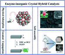 Graphical abstract: Metal–organic frameworks and inorganic nanoflowers: a type of emerging inorganic crystal nanocarrier for enzyme immobilization