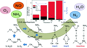 Graphical abstract: Identification of the reaction pathway and reactive species for the selective catalytic reduction of NO with NH3 over cerium–niobium oxide catalysts