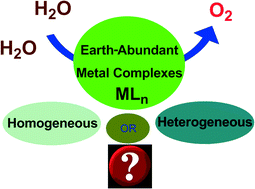 Graphical abstract: Earth-abundant metal complexes as catalysts for water oxidation; is it homogeneous or heterogeneous?