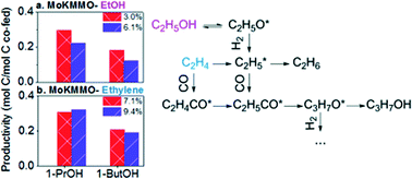 Graphical abstract: Insight into reaction pathways in CO hydrogenation reactions over K/MoS2 supported catalysts via alcohol/olefin co-feed experiments