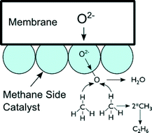 Graphical abstract: Oxidative coupling of methane over mixed oxide catalysts designed for solid oxide membrane reactors