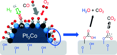 Graphical abstract: Unique reaction mechanism of preferential oxidation of CO over intermetallic Pt3Co catalysts: surface-OH-mediated formation of a bicarbonate intermediate