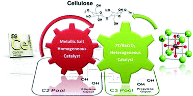 Graphical abstract: Catalytic conversion of cellulose to C2–C3 glycols by dual association of a homogeneous metallic salt and a perovskite-supported platinum catalyst