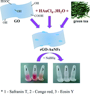 Graphical abstract: Decolorization of organic dyes by gold nanoflowers prepared on reduced graphene oxide by tea polyphenols