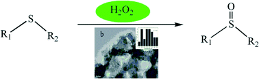 Graphical abstract: Nano-sized mesoporous sodium iron hydroxyphosphate supported gold: an effective catalyst for the oxidation of sulfides