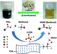 Graphical abstract: Esterification of fatty acids from waste cooking oil to biodiesel over a sulfonated resin/PVA composite