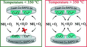 Graphical abstract: Effect of SO2 on NH3 oxidation over a Cu-SAPO-34 SCR catalyst