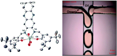 Graphical abstract: Synthesis, structural characterization, electronic spectroscopy, and microfluidic detection of Cu+2 and UO2+2 [di-tert-butyl-salphenazine] complexes