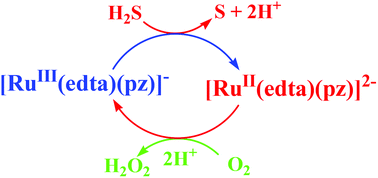 Graphical abstract: Ru(EDTA) mediated partial reduction of O2 by H2S